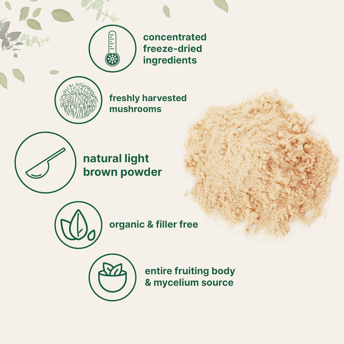 Organic Lion’s Mane Mushroom Powder