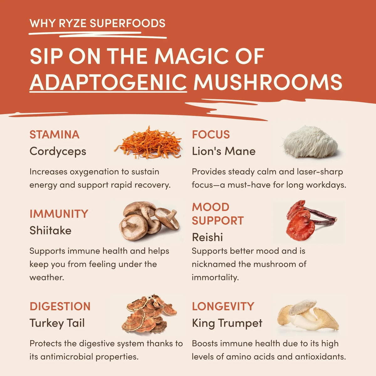 Mushroom Coffee Superfood (30 Servings)